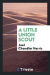 A Little Union Scout