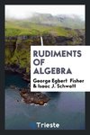 Rudiments of Algebra