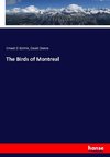 The Birds of Montreal