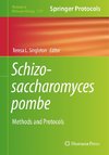 Schizosaccharomyces pombe