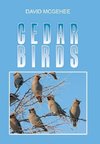 Cedar Birds