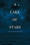 A Lake of Stars