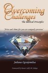 Overcoming Challenges