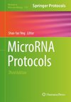 MicroRNA Protocols