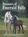 Treasures of Emerald Falls