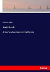 Joe's Luck