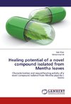 Healing potential of a novel compound isolated from Mentha leaves