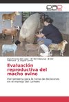 Evaluación reproductiva del macho ovino