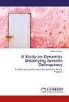 A Study on Dynamics Underlying Juvenile Delinquency