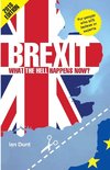 Dunt, I: Brexit - What the Hell Happens Now?