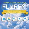 Those Clouds Sure Look Fluffy! Weather Books Grade 4 | Children's Earth Sciences Books