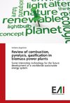 Review of combustion, pyrolysis, gasification in biomass power plants