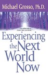 Experiencing the Next World Now
