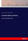 A Smaller History of Rome