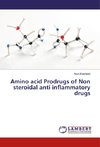 Amino acid Prodrugs of Non steroidal anti inflammatory drugs