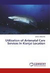 Utilization of Antenatal Care Services In Kianjai Location