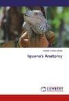 Iguana's Anatomy