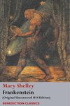 Frankenstein; or, The Modern Prometheus