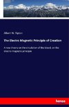 The Electro Magnetic Principle of Creation