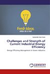 Challenges and Strength of Current Industrial Energy Efficiency
