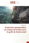 Evaluation géopetrolière du champ de Oudna dans le golfe de Hammamet