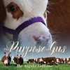 The Purpose of Gus