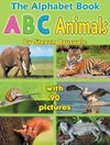 The Alphabet Book ABC Animals