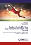 Factors that affecting players team cohesion and success