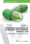 Heterologe Expression der Arabidopsis SPX und PHR1 Gene in E.Coli