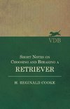 Short Notes on Choosing and Breaking a Retriever