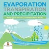Evaporation, Transpiration and Precipitation | Water Cycle for Kids | Children's Water Books