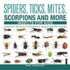 Spiders, Ticks, Mites, Scorpions and More | Insects for Kids - Arachnid Edition | Children's Bug & Spider Books