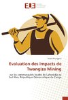 Evaluation des impacts de Twangiza Mining
