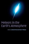 Meteors in the Earth's Atmosphere
