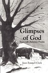 Glimpses of God