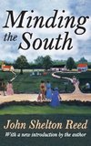 Minding the South