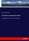 The American Palaeozoic Fossils