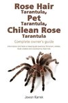 Rose Hair Tarantula, Pet Tarantula, Chilean Rose Tarantula