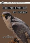 Thunderbolt the Falcon