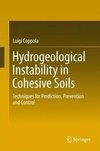 Coppola, L: Hydrogeological Instability in Cohesive Soils