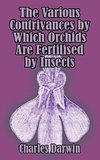 Various Contrivances by Which Orchids are Fertilised by Insects, The