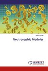 Neutrosophic Modules