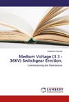 Medium Voltage (3.3 - 36KV) Switchgear Erection,