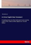 A Critical English New Testament
