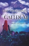 Das Geheimnis von Caeldum