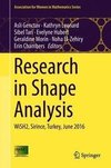 Research in Shape Analysis