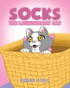 Socks the Laundromat Cat