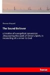 The Sound Believer