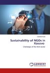 Sustainability of NGOs in Kosovo