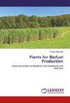 Plants for Biofuel Production
